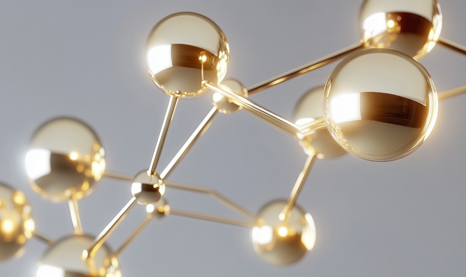 From Sample to Results: What Happens in the Lab