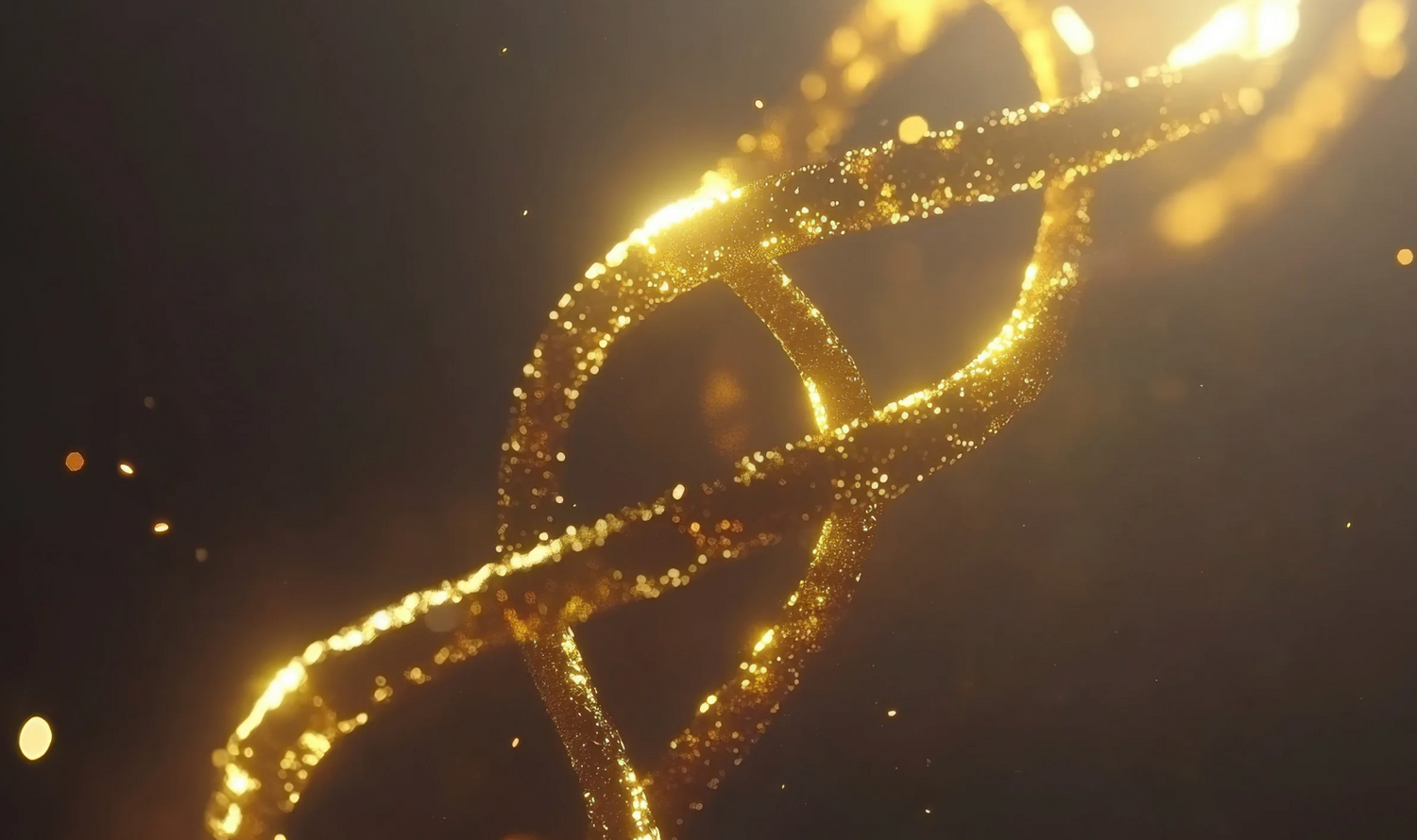 Pet DNA Testing: Beyond Ancestry