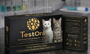 Testora Feline Deafness Panel (DBE Cats)