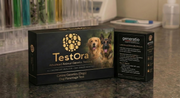 Dog Parentage Test