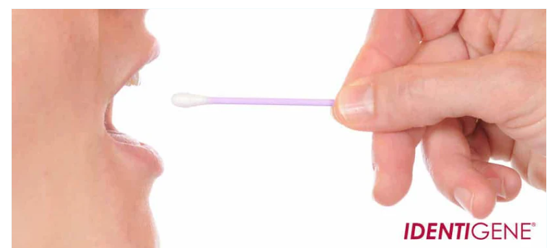 DNA Paternity Test