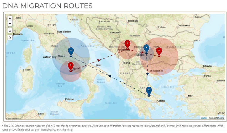 Ancestry DNA Test